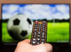 深圳队重返,中超指日可,须遵循规则,金年会官方入口,金年会入口,金年会共享联赛,金年会官方网站,金年会官方网站