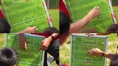 金年会 产品 213831 lh4