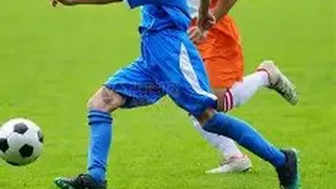 金年会 产品 213857 in0