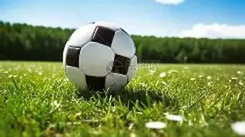 金年会 产品 213838 nal