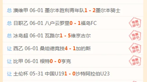 2026联赛对决前瞻金年会App：新潟天鹅对阵鹿儿岛联，激情战火再燃
