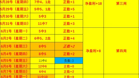 2026赛季焦点战：埃尔维斯主场攻略，不容错过的赛事解析